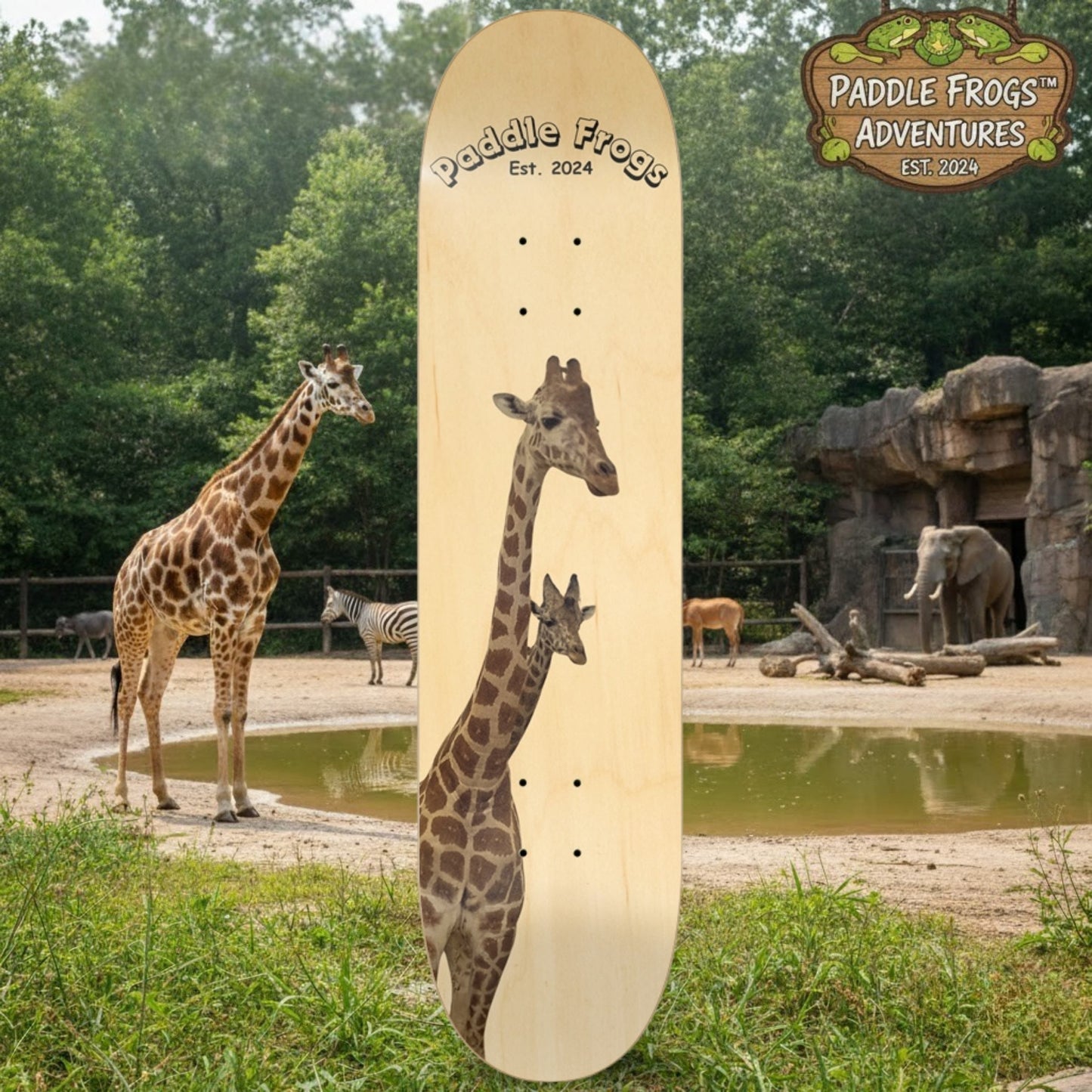 Baby Giraffe 8.0 Paddle Frogs™ Popsicle Stick skateboard deck Knoxville Zoo Tennessee mom and child animals and natures creatures