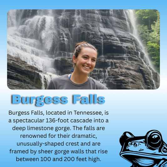 Burgess Falls, located in Tennessee, is a spectacular 136-foot cascade into a deep limestone gorge. The falls are renowned for their dramatic, unusually-shaped crest and are framed by sheer gorge walls that rise between 100 and 200 feet high.