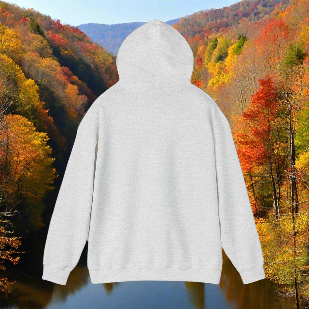 Light Gray Hooded Sweatshirt