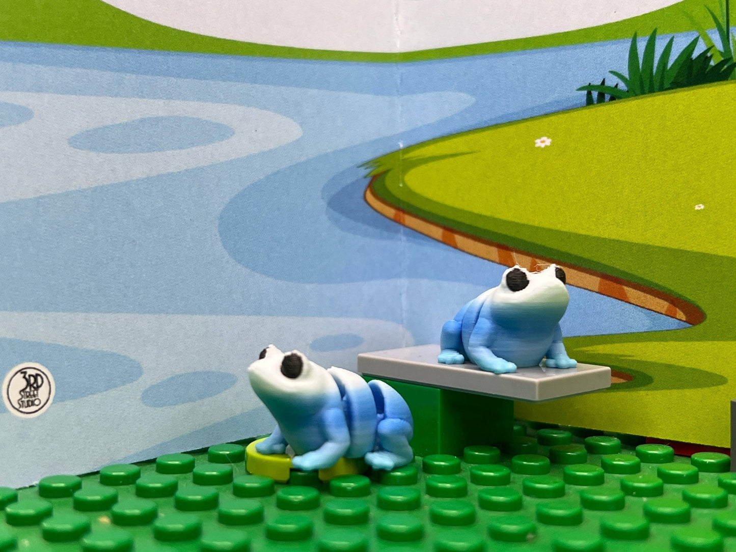 Fun Frog Pocket Fidget Friend (with Colorful Play Scene)