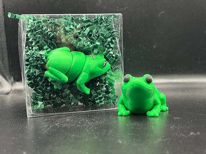 Fun Frog Pocket Fidget Friend (with Colorful Play Scene)