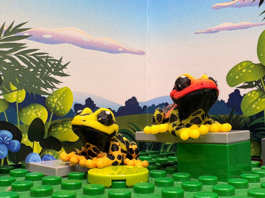 Vibrant Tree Frog Pocket Fidget Friend (with Colorful Play Scene)