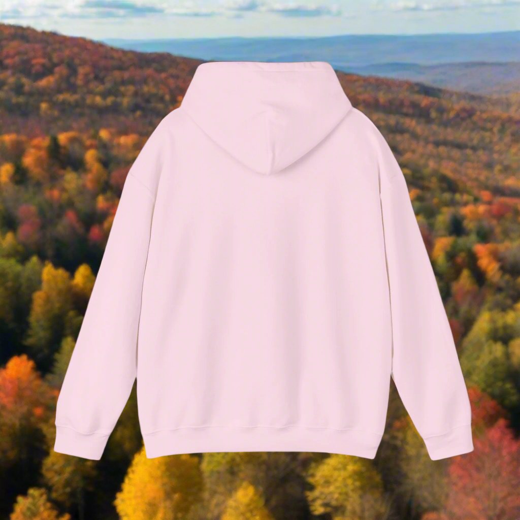 Backside of a gorgeous pink comfy hoody sweatshirt