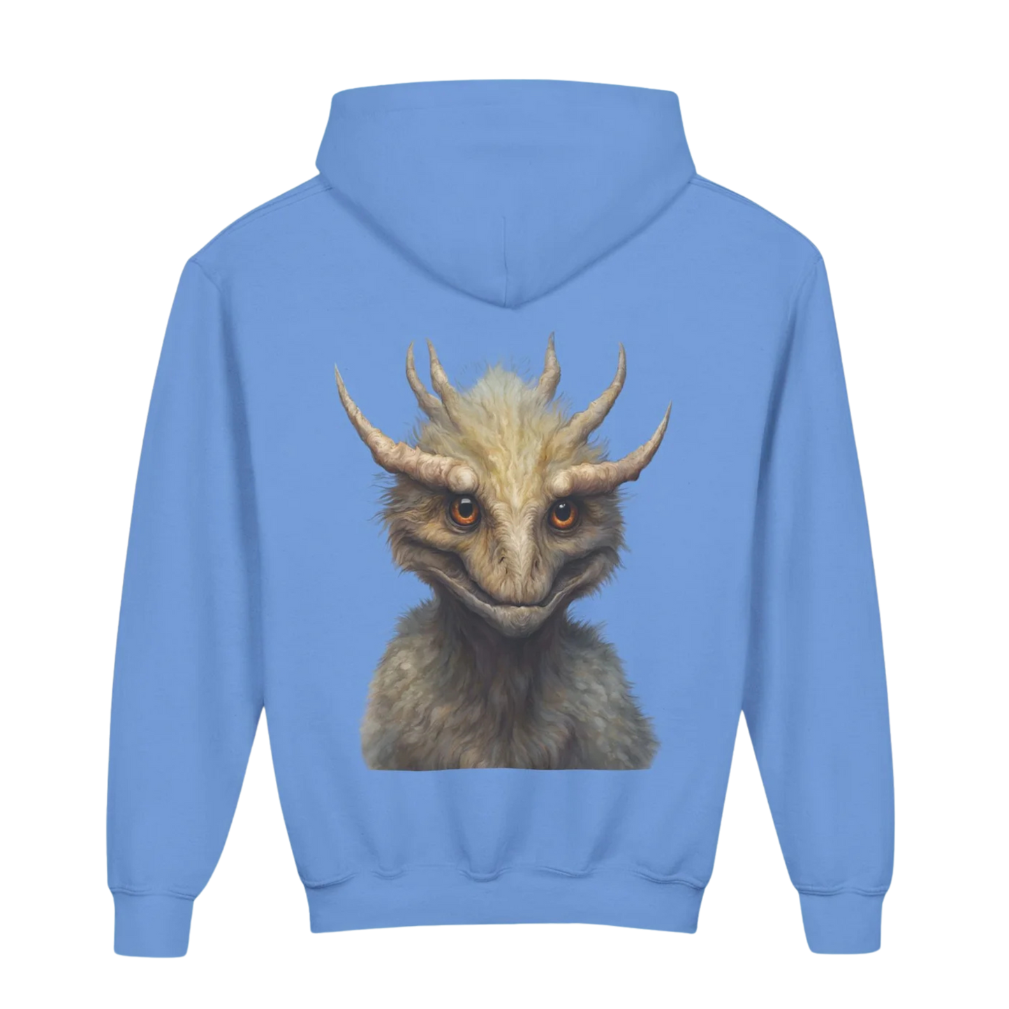 Carolina Blue - Zacharias Youth Hoodie — Paddle Frogs