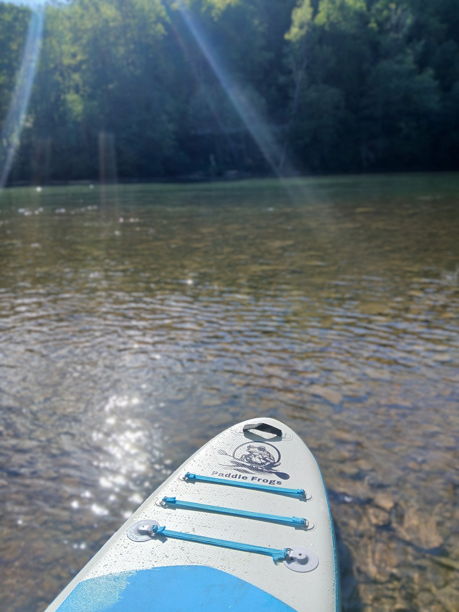 Divine Escape Paddle Frogs handmade paddle boards
