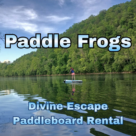 SUP stand up paddle board rental | Person paddleboarding on a calm Emory River Watts Bar lake with trees and 'Paddle Frogs' branding.