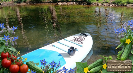 Visit Paddle Frogs Garden Shop