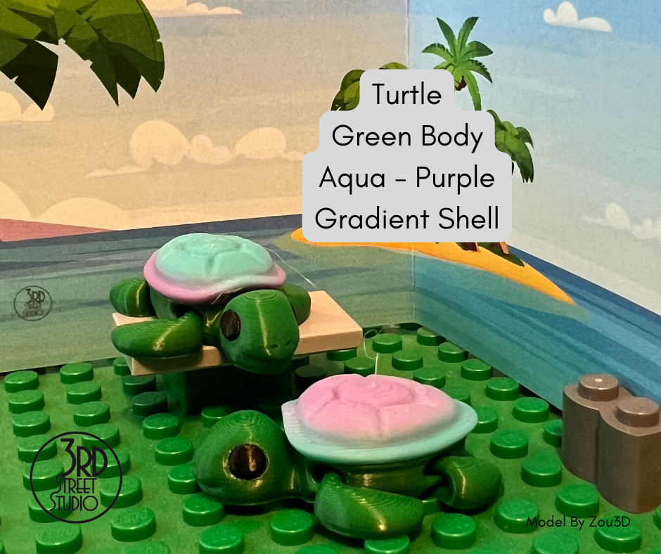 Beautiful Turtle Pocket Fidget Friend (with Colorful Play Scene)