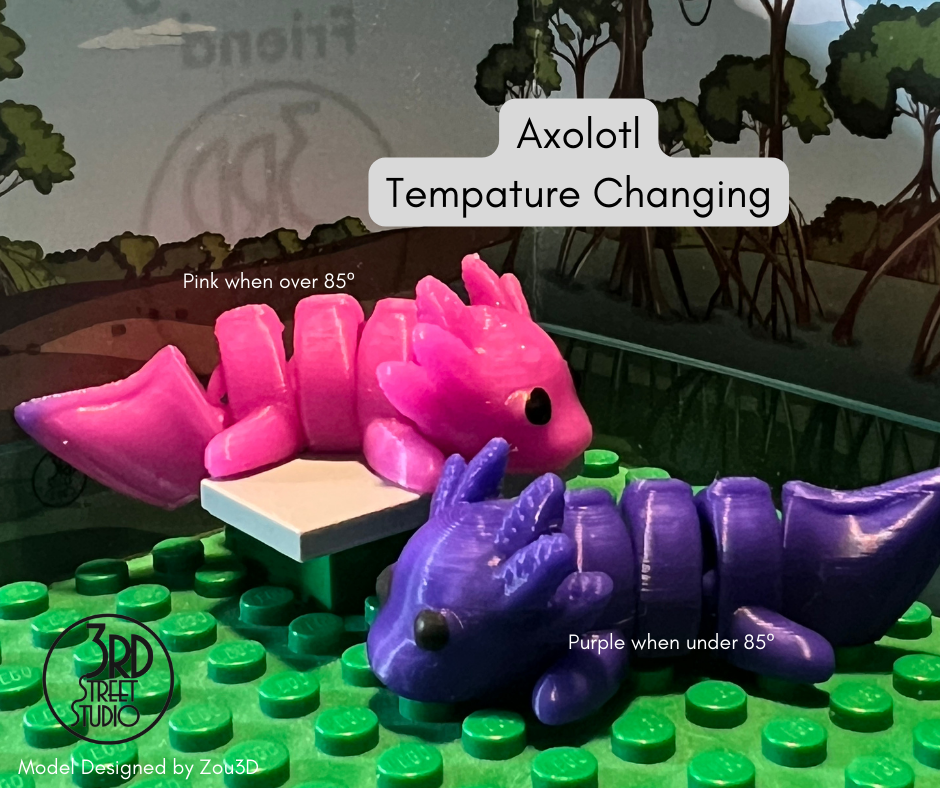 Adorable Axolotl Pocket Fidget Friend (with Colorful Play Scene)
