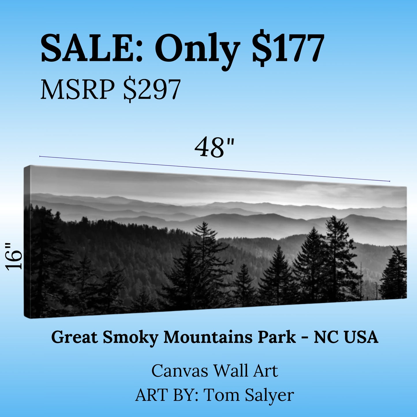 Great Smoky Mountains Canvas Wall Art 48" x 16"