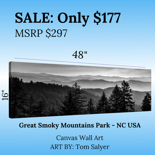 Great Smoky Mountains Canvas Wall Art 48" x 16"